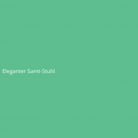Eleganter Samt-Stuhl